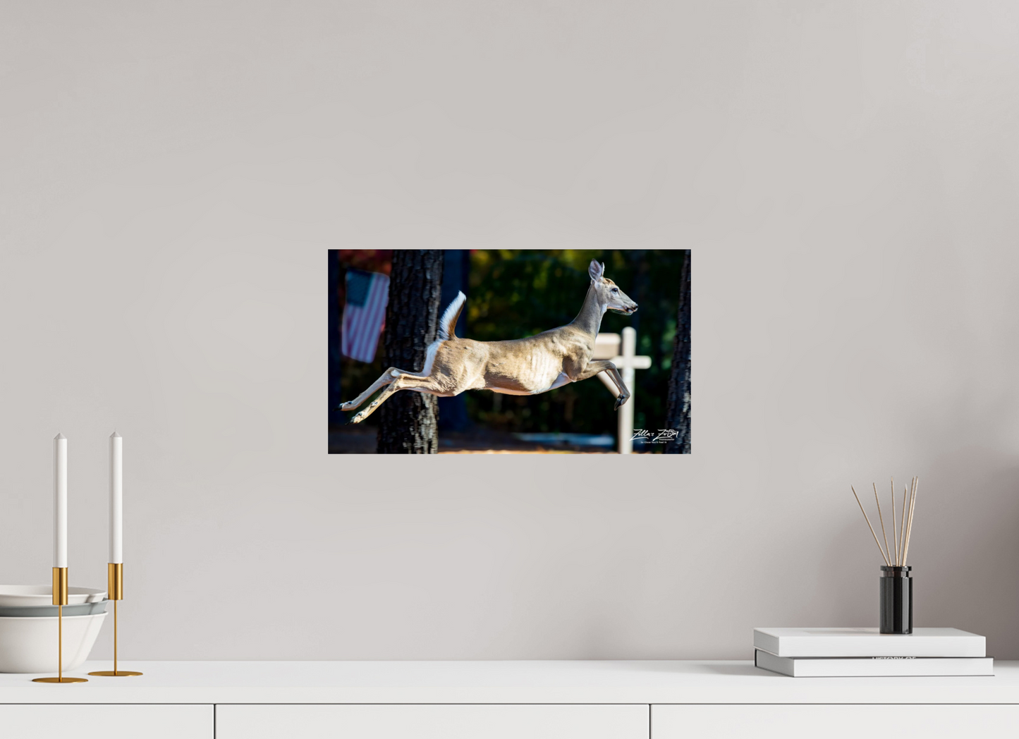 16 x 9″, Photo Print On Fuji Crystal DP II Zillas zoom image 141