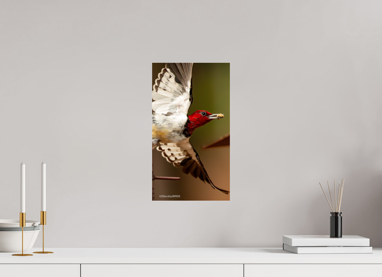 9 x 16″, Photo Print Under Acrylic Glass Zillas Zoom Image 399