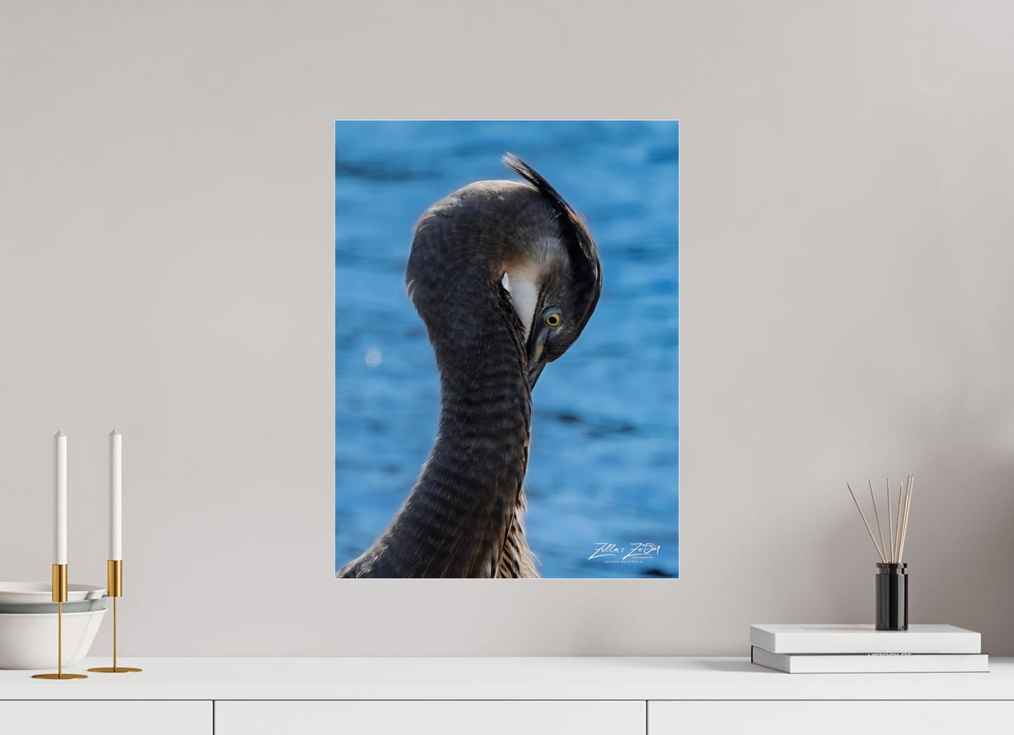 15 x 20″, Photo Print Under Acrylic Glass Zillas Zoom Image 453