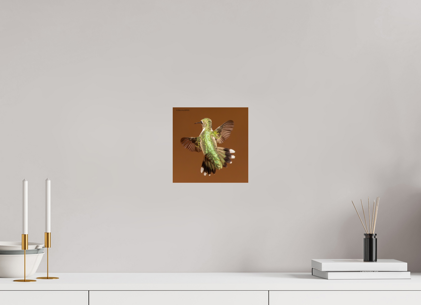 8 x 8″, Photo Print Under Acrylic Glass Zillas Zoom Image 338
