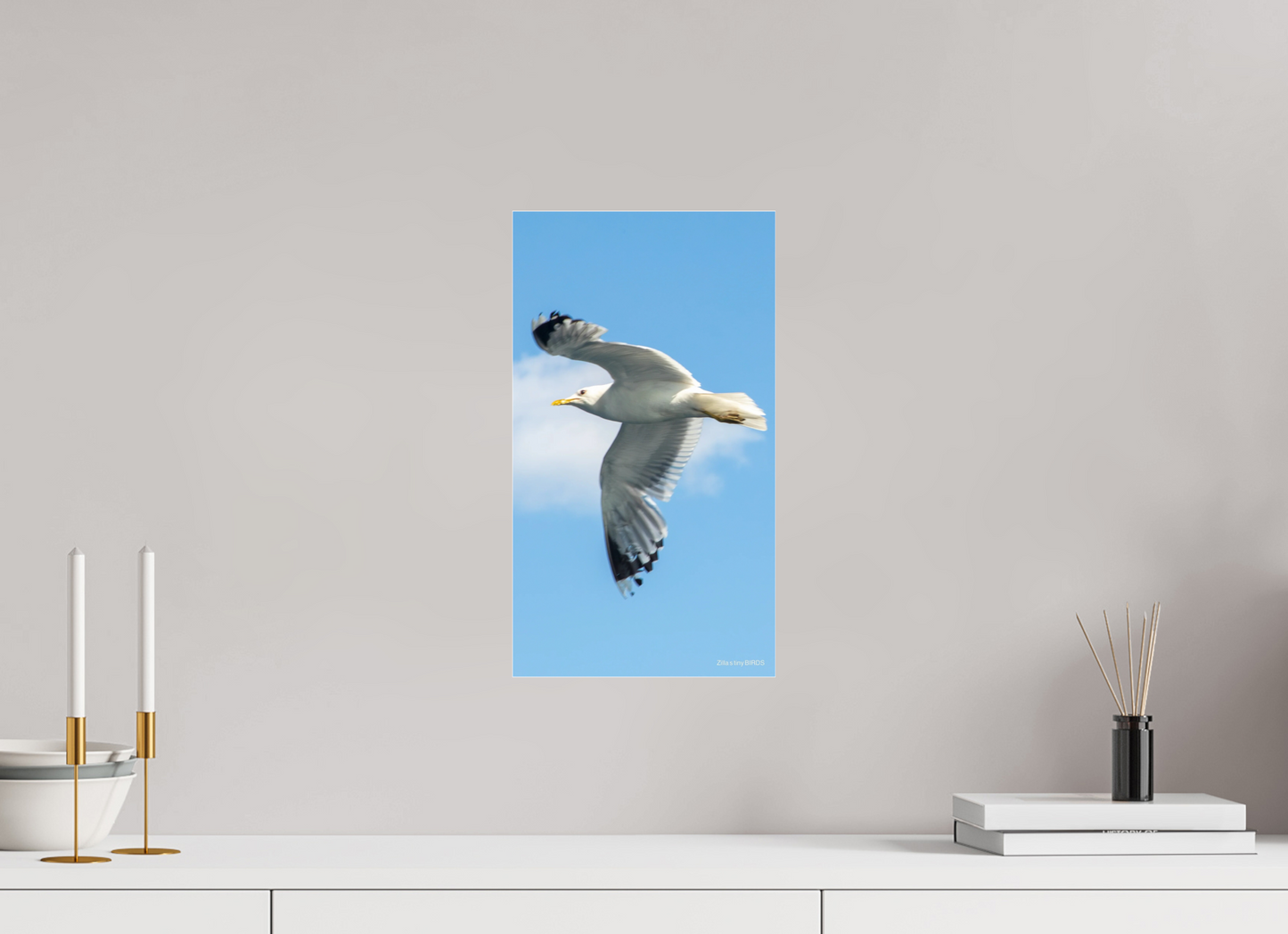 9 x 16″, Photo Print Under Acrylic Glass Zillas Zoom Image 466