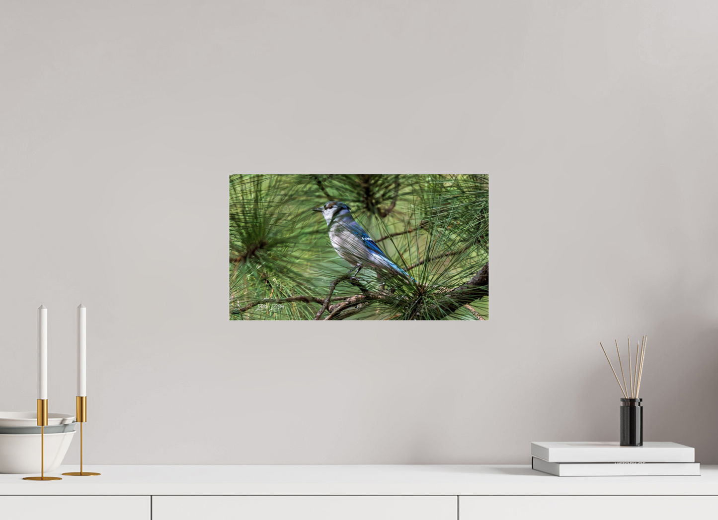 16 x 9″, Photo Print Under Acrylic Glass Zillas Zoom Image 344