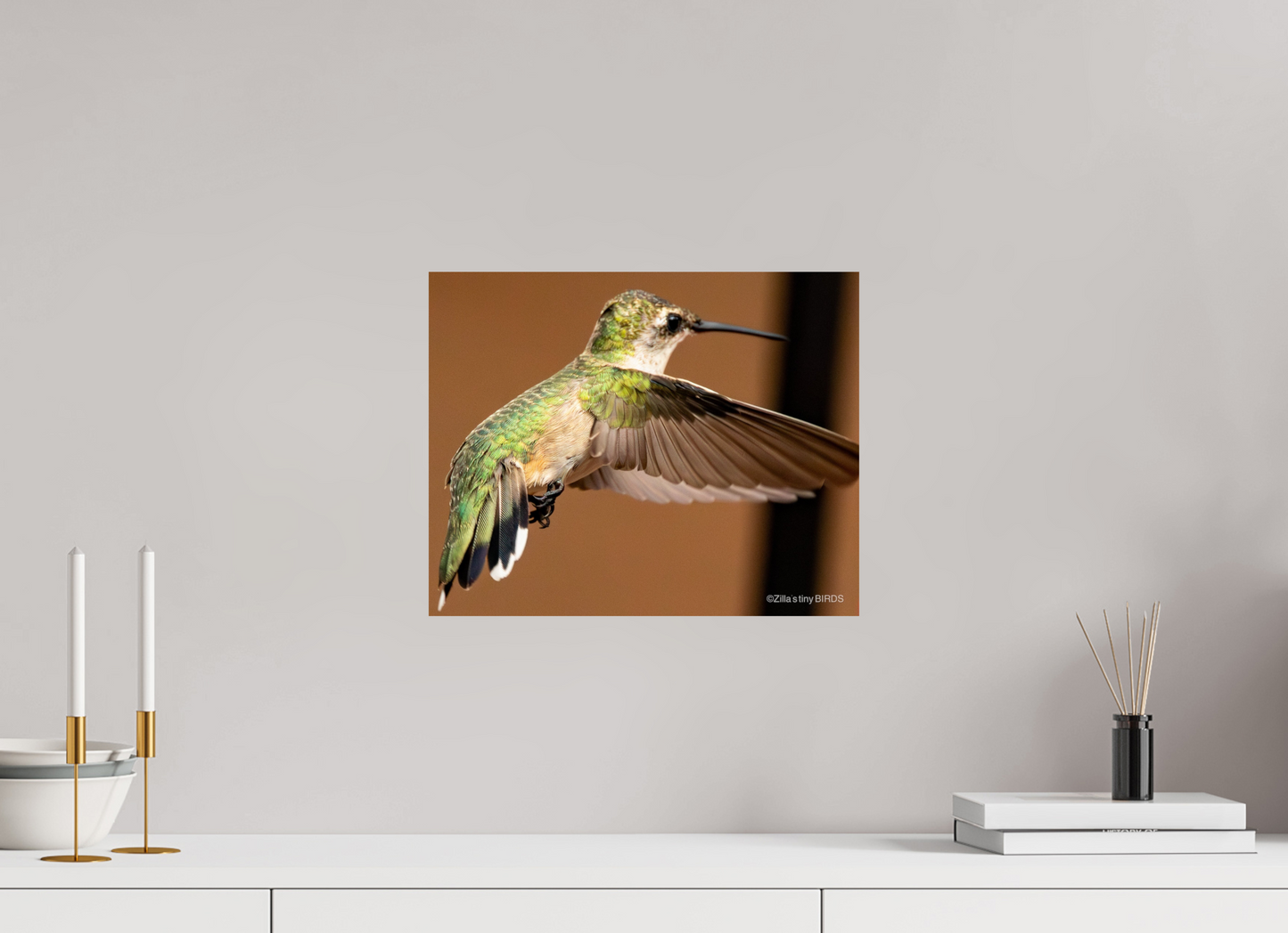 15 x 12″, Photo Print On Fuji Crystal DP II Zillas Zoom Image 336