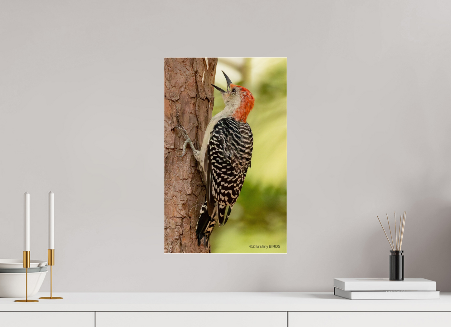 12 x 19.2″, Photo Print Under Acrylic Glass Zillas Zoom Image 459