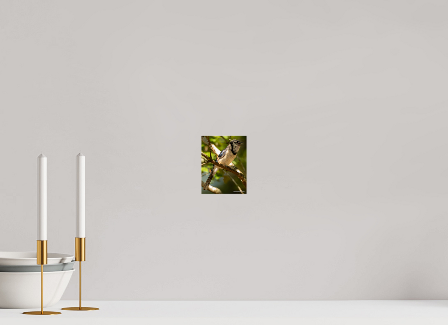 4 x 5.2″, Photo Print Under Acrylic Glass Zillas Zoom Image 517