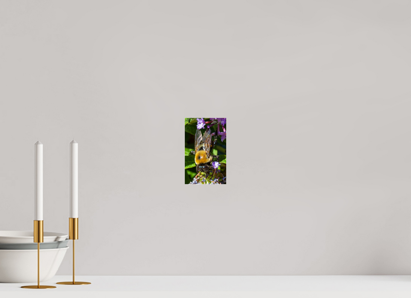 4 x 6.4″, Photo Print Under Acrylic Glass Zillas Zoom Image 109