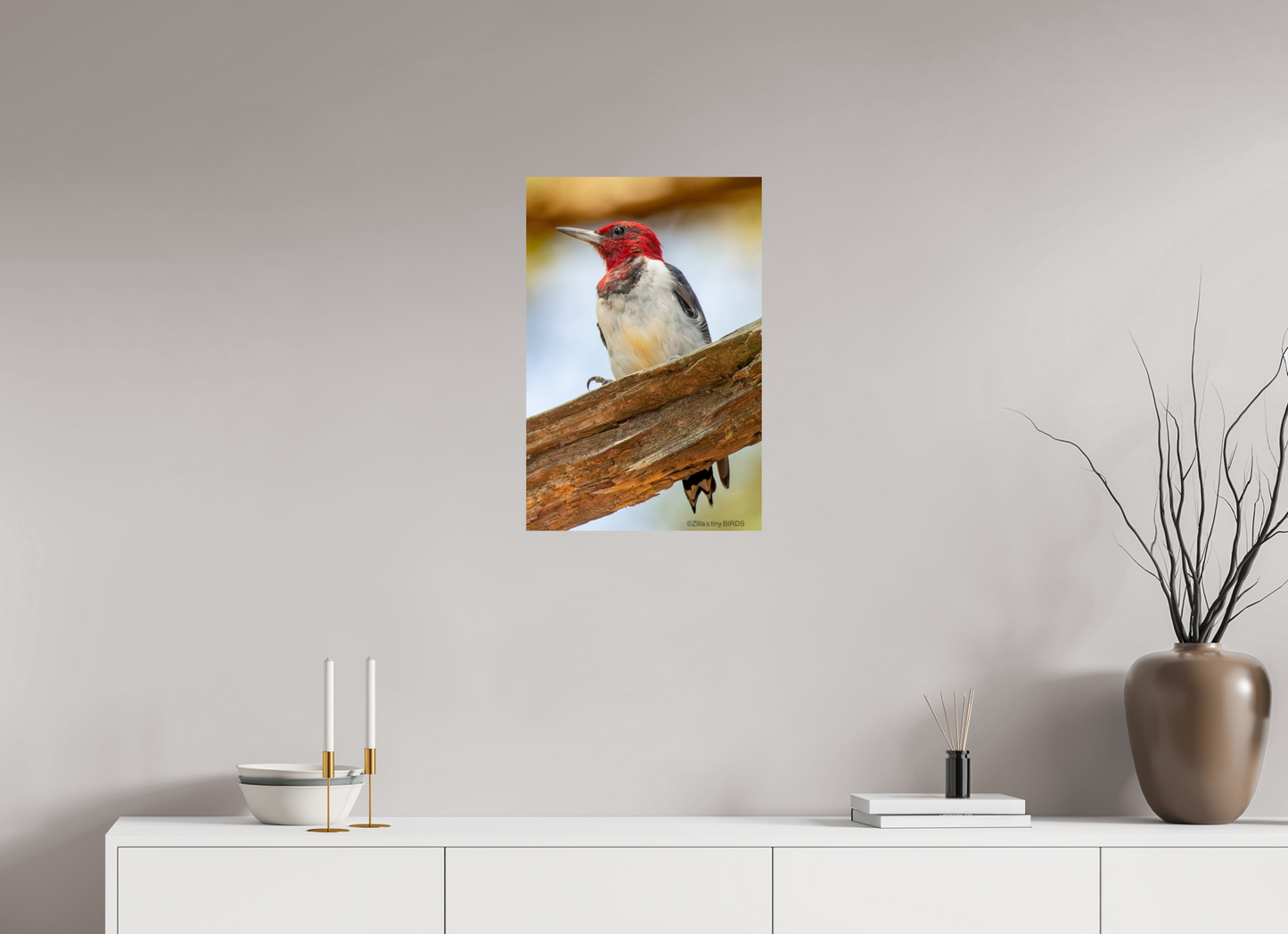 16 x 24″, Photo Print On Fuji Crystal DP II Zillas Zoom Image 442