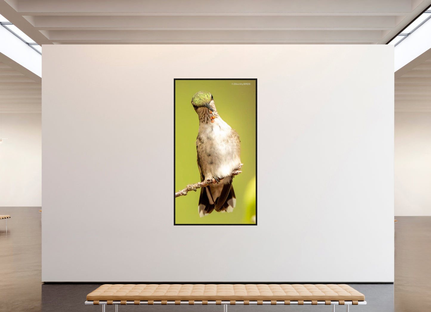 47 x 84.3″, Floater Frame Zillas Zoom Image 444