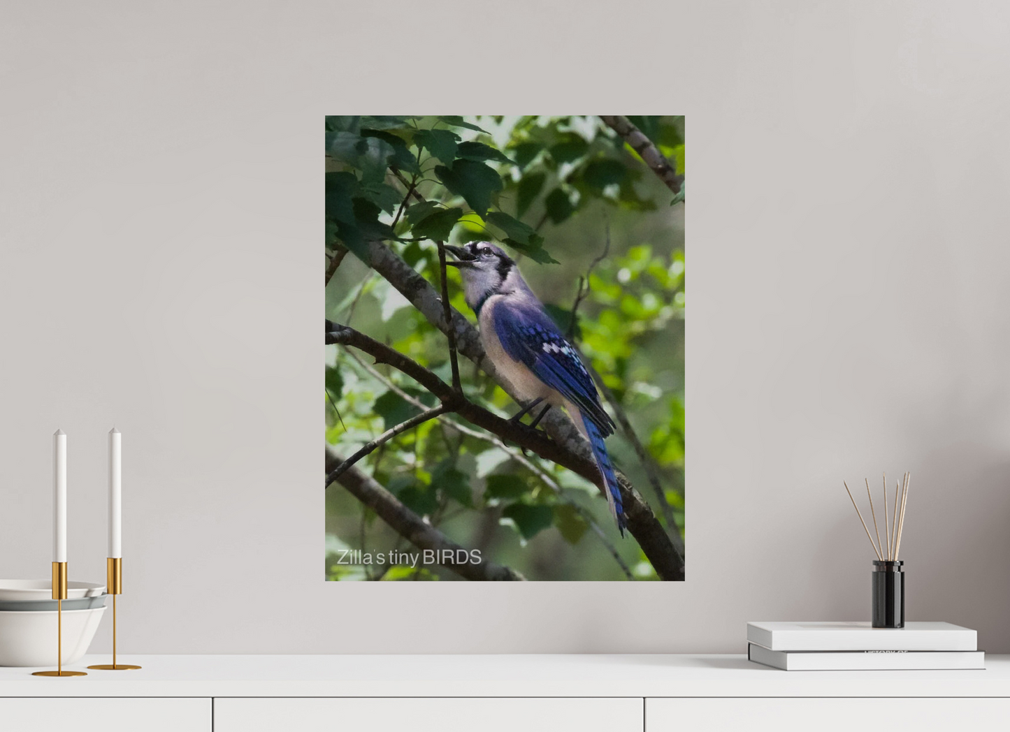 16 x 20.7″, Photo Print On Fuji Crystal DP II Zillas Zoom Image 469