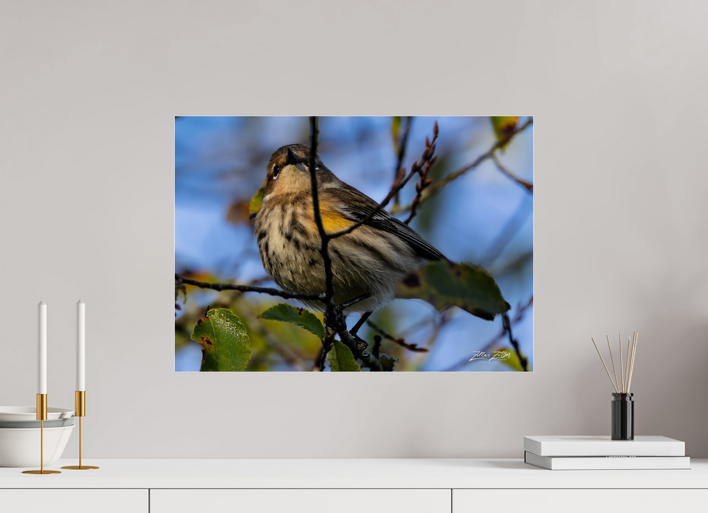 22.4 x 16″, Photo Print Under Acrylic Glass Zillas Zoom Image 356