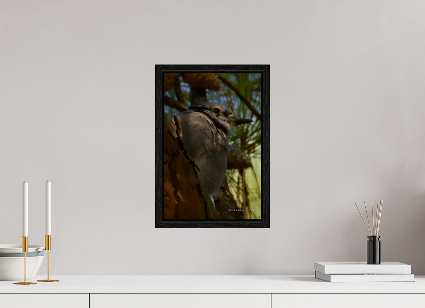 10 x 15″, Floater Frame Zillas Zoom Image 401