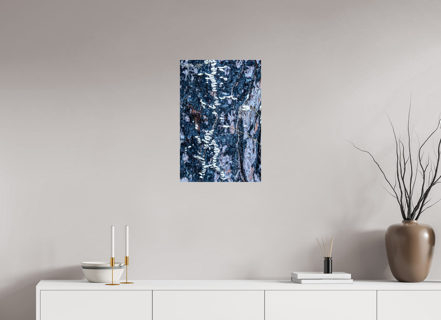 16 x 24″, Photo Print Under Acrylic Glass Zillas Zoom Image 114