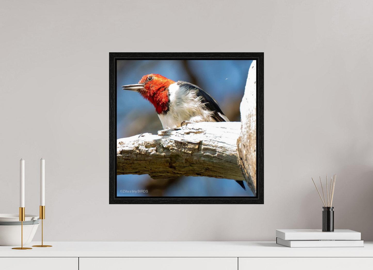 16.3 x 16″, Floater Frame Zillas Zoom Image 273