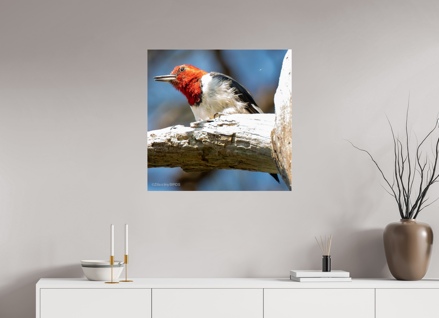 28.5 x 28″, Photo Print Under Acrylic Glass Zillas Zoom Image 273