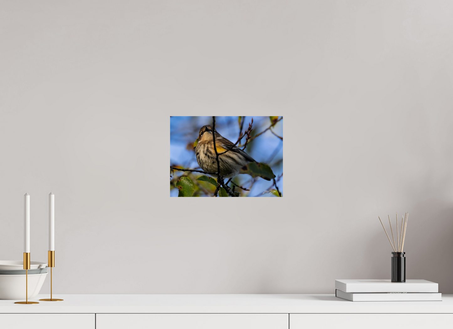11.2 x 8″, Photo Print On Fuji Crystal DP II Zillas Zoom Image 356
