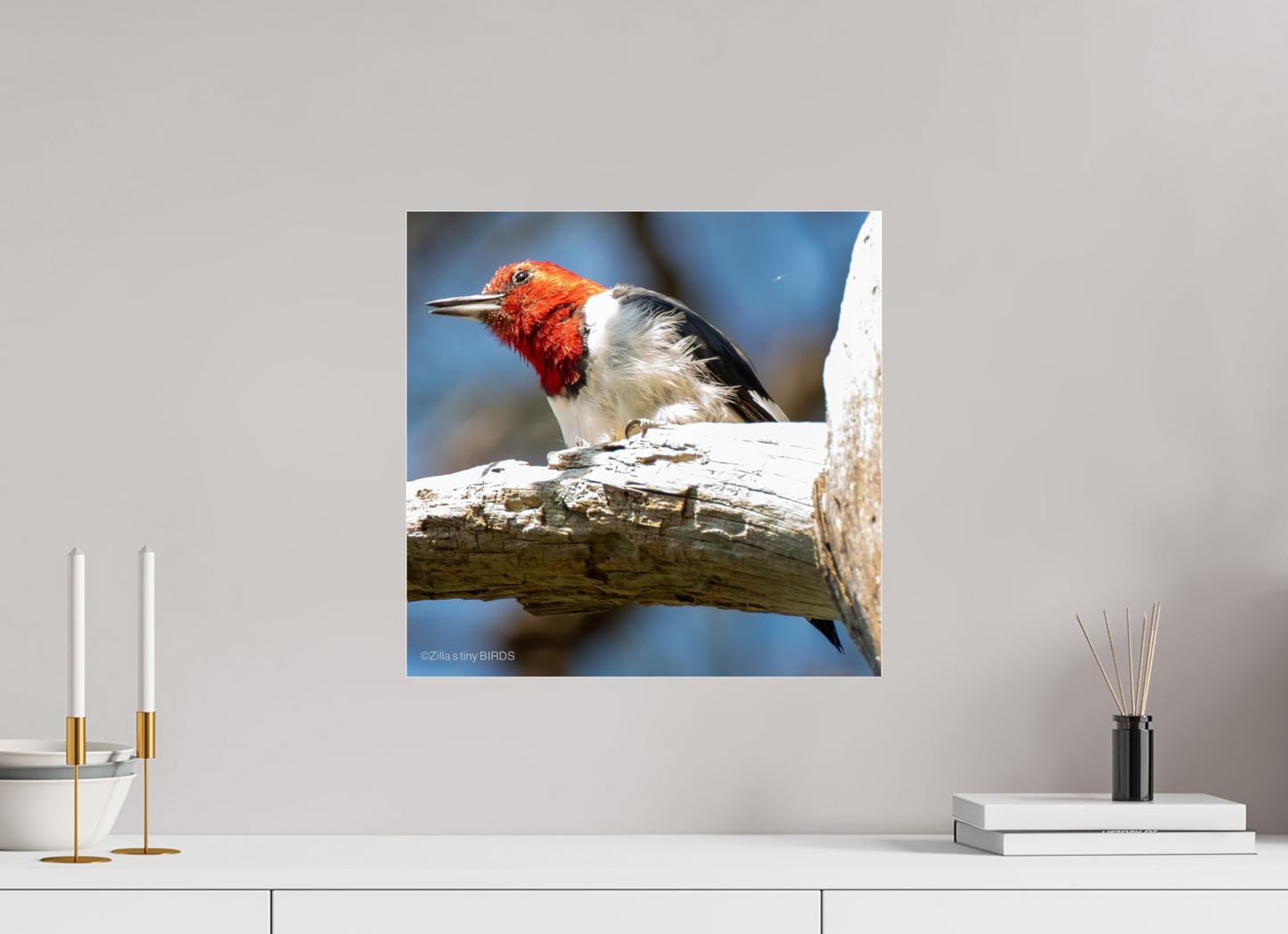 16.3 x 16″, Photo Print Under Acrylic Glass Zillas Zoom Image 273
