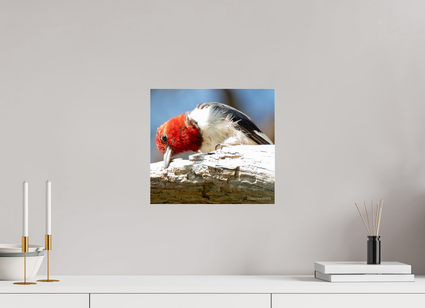 13 x 12″, Photo Print Under Acrylic Glass Zillas Zoom Image 270