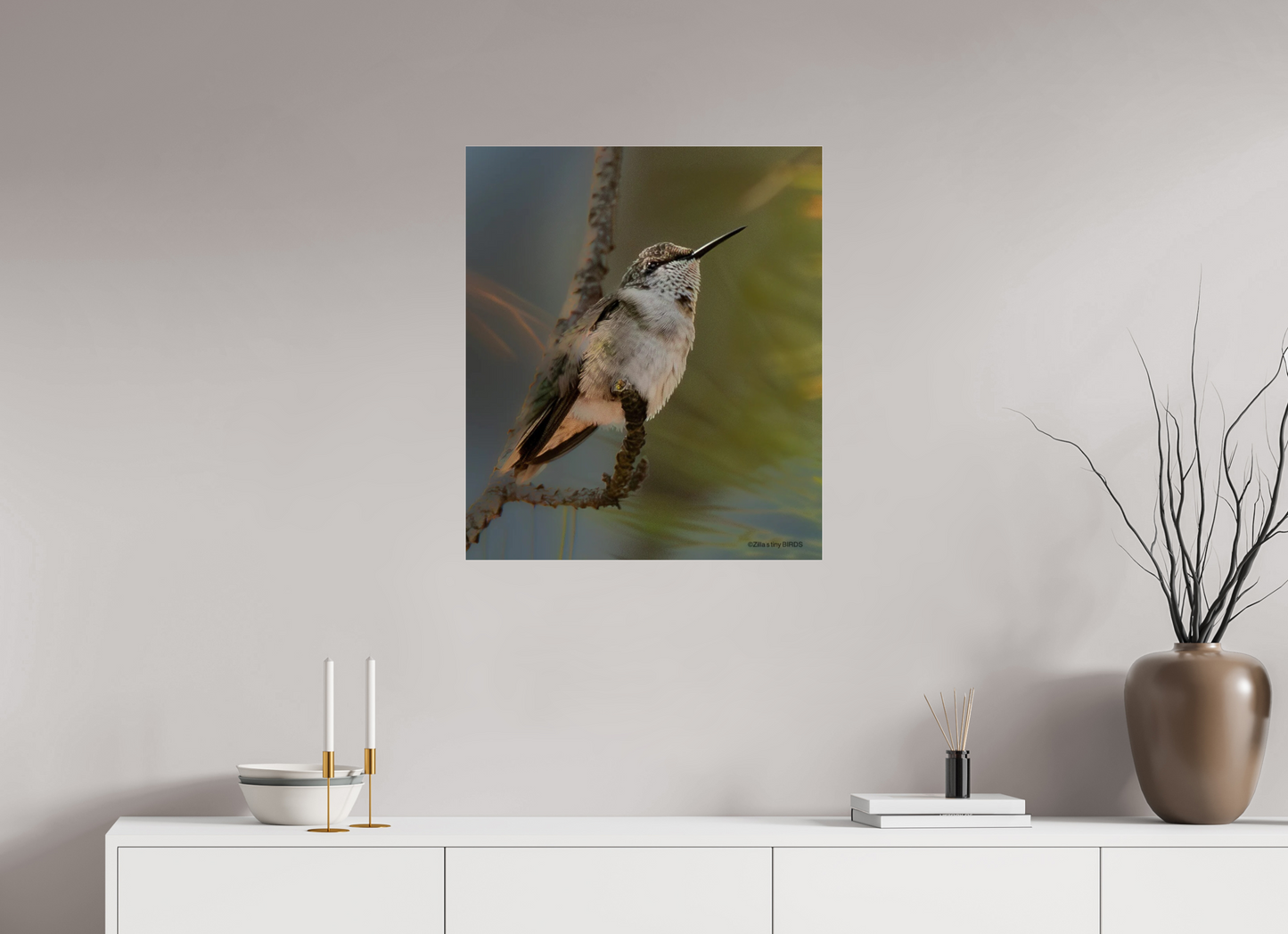 24 x 27.9″, Photo Print Under Acrylic Glass Zillas Zoom Image 499