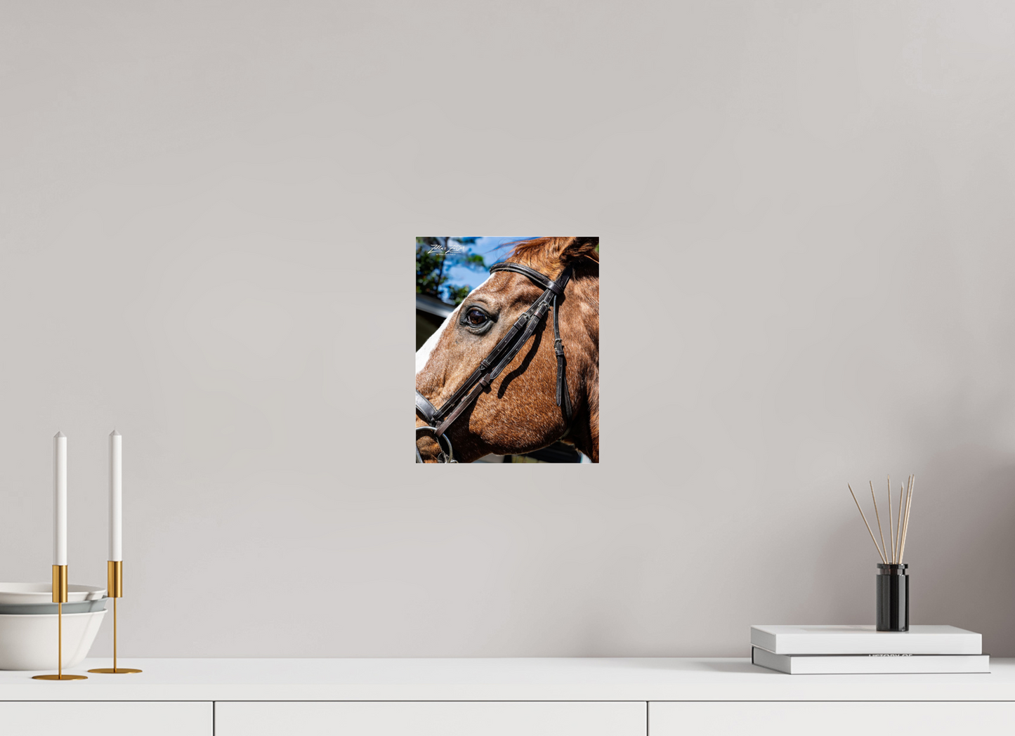 8 x 9.9″, Photo Print Under Acrylic Glass Zillas zoom image 149