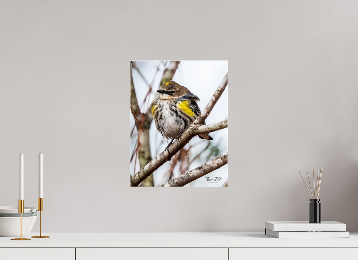 12 x 15.6″, Photo Print Under Acrylic Glass Zillas Zoom Image 501