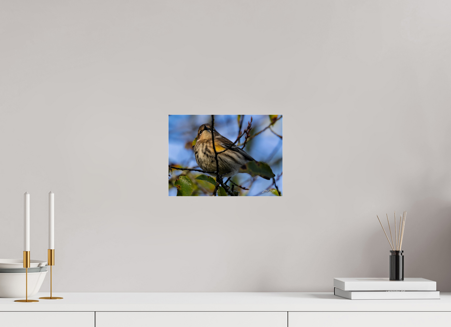 11.2 x 8″, Photo Print Under Acrylic Glass Zillas Zoom Image 356