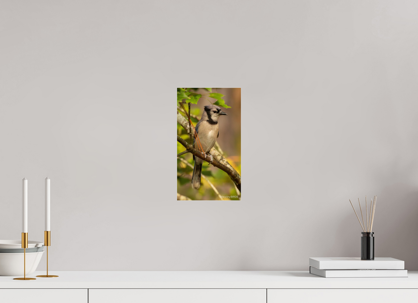 6.8 x 12″, Photo Print Under Acrylic Glass Zillas Zoom Image 491