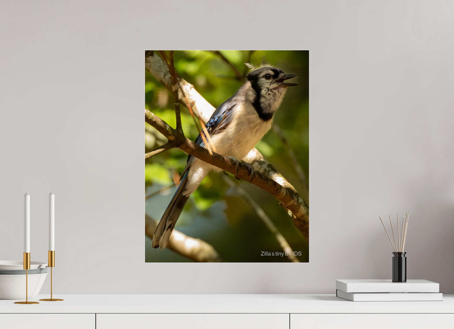 16 x 20.7″, Photo Print Under Acrylic Glass Zillas Zoom Image 517