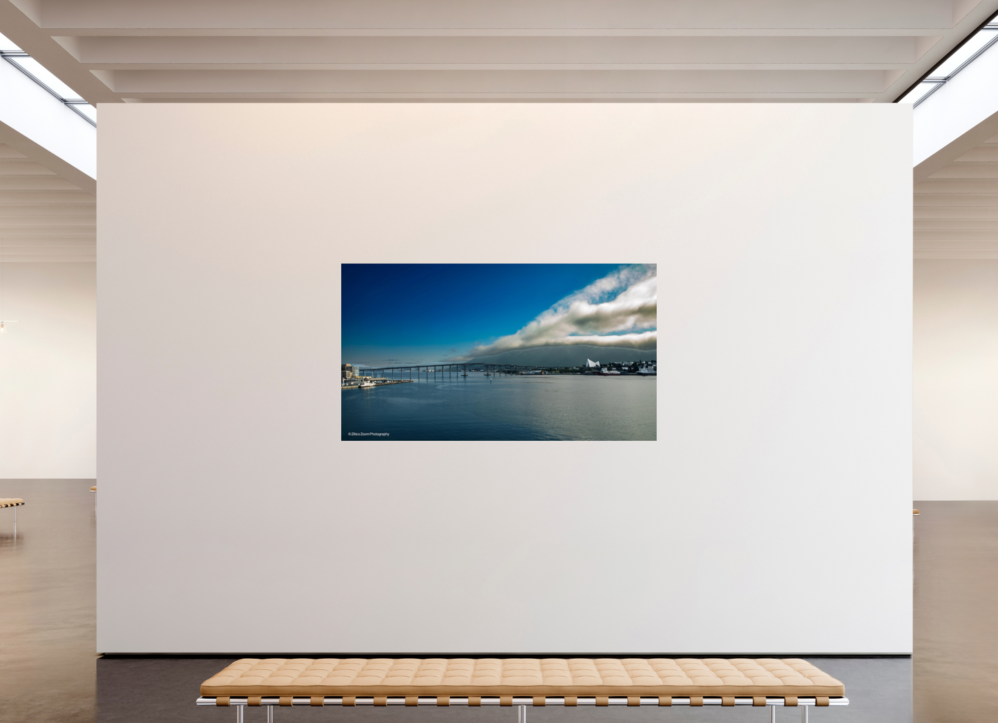 80 x 45″, Photo Print On Fuji Crystal DP II Zillas Zoom Image 196