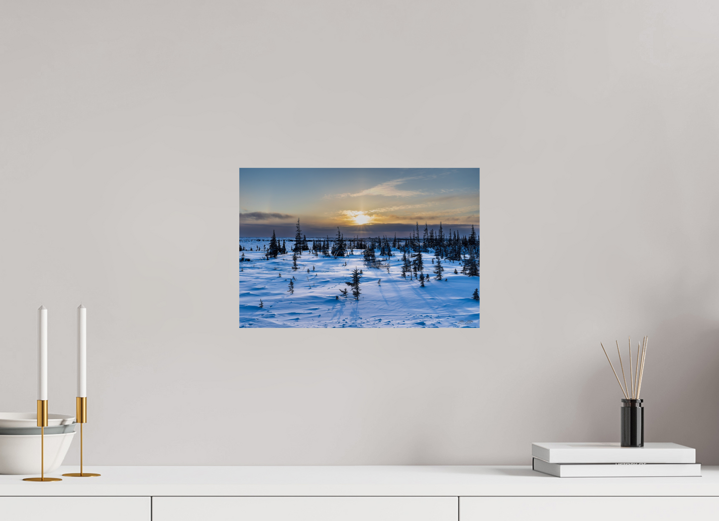 15 x 10″, Photo Print On Fuji Crystal DP II Zillas Zoom Image 226