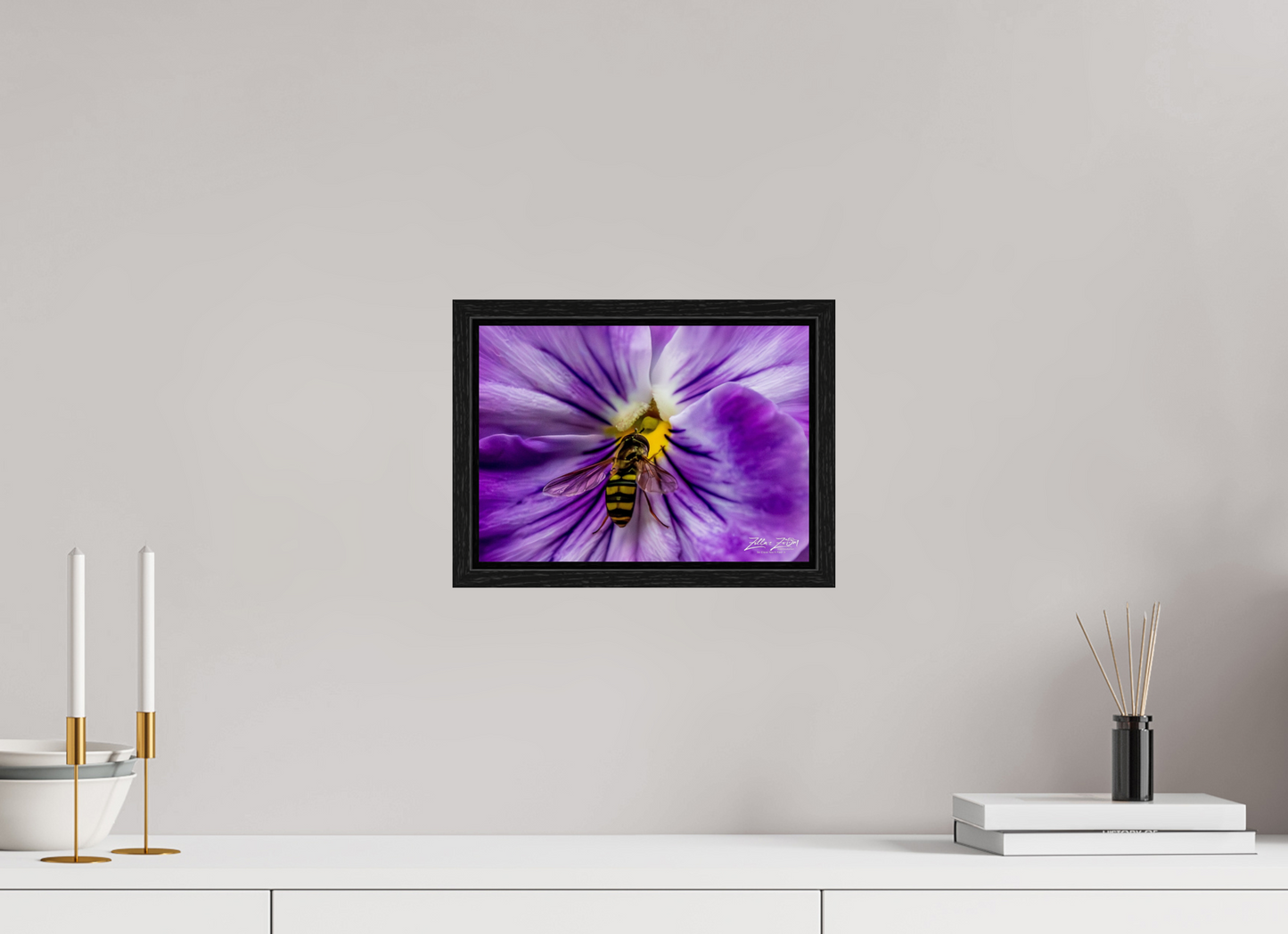 11.2 x 8″, Floater Frame Zillas Zoom Image 103