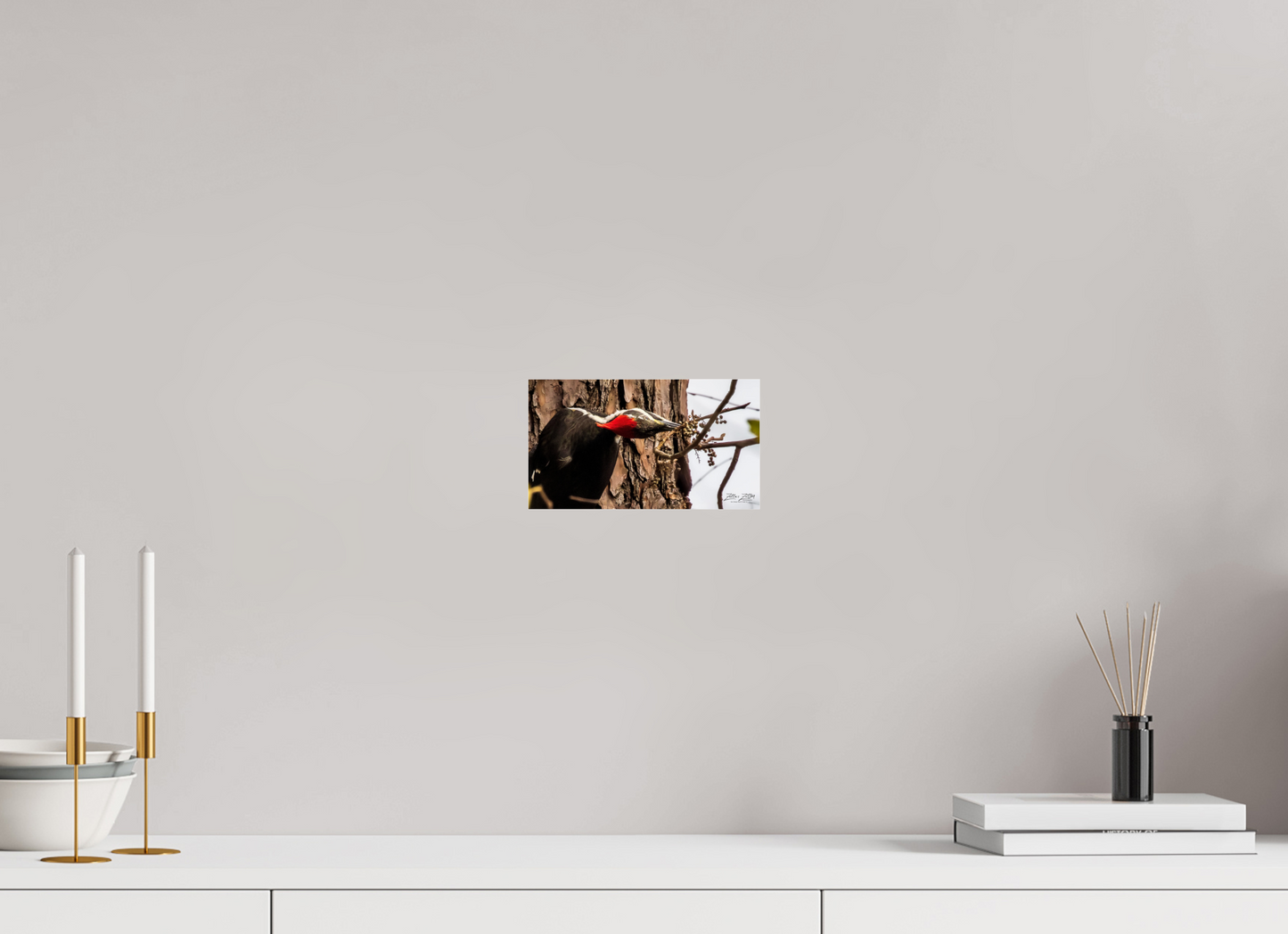 8 x 4.5″, Photo Print Under Acrylic Glass Zillas Zoom Image 283