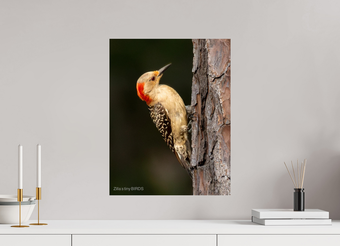 16 x 20.7″, Photo Print On Fuji Crystal DP II Zillas Zoom Image 514