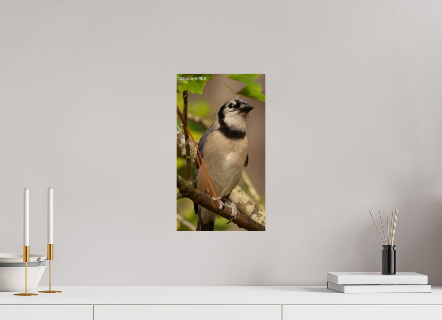 9 x 16″, Photo Print On Fuji Crystal DP II Zillas Zoom Image 493