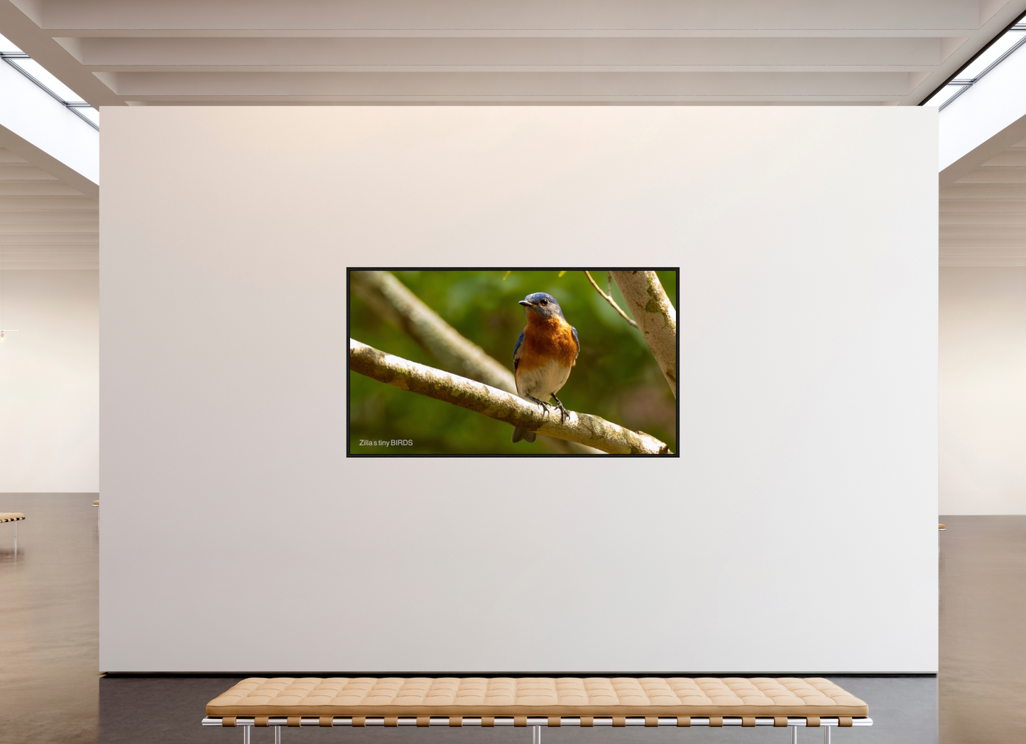 80 x 45″, Floater Frame Zillas Zoom Image 373