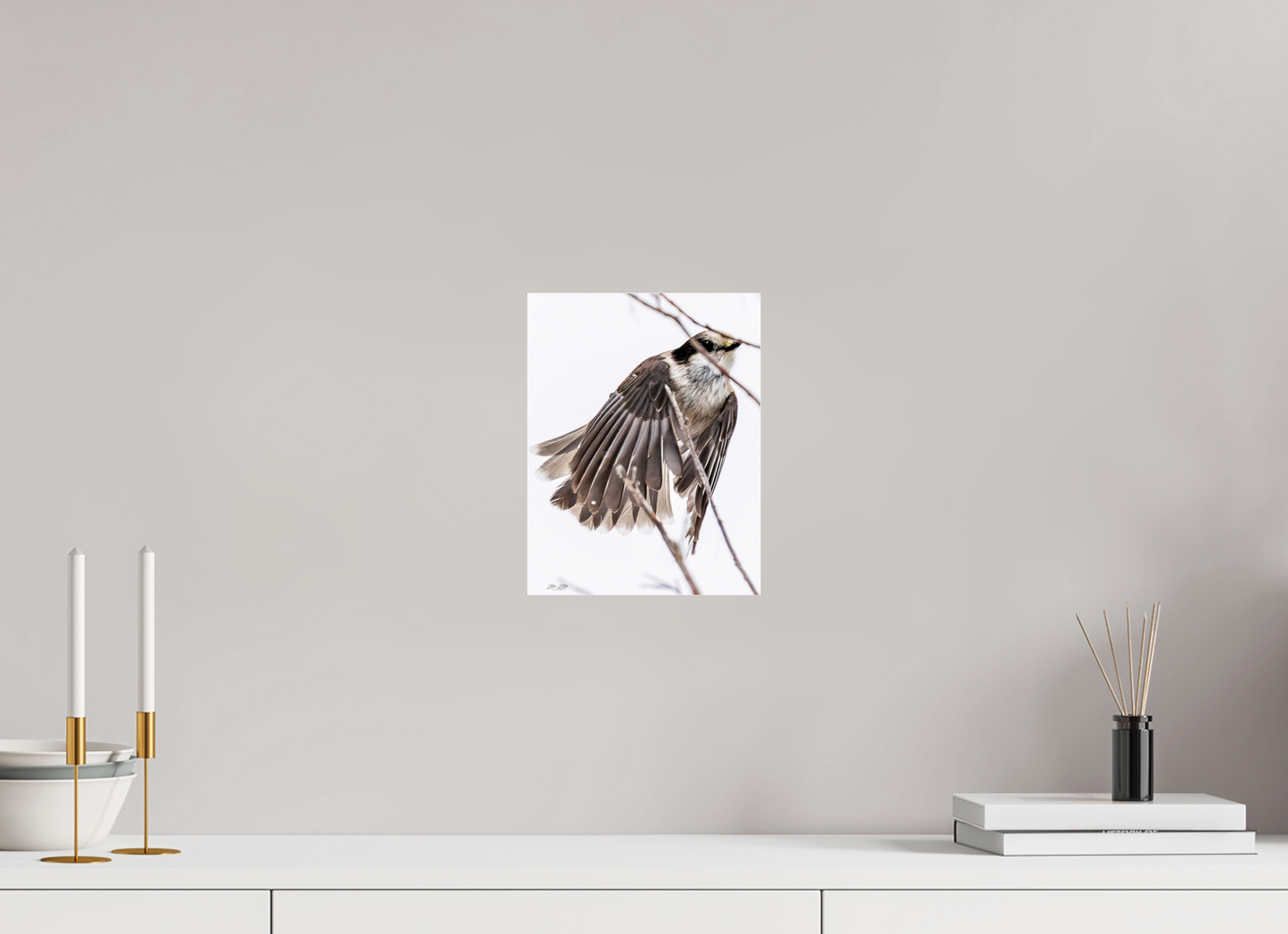 8 x 10.4″, Photo Print Under Acrylic Glass Zillas Zoom Image 507