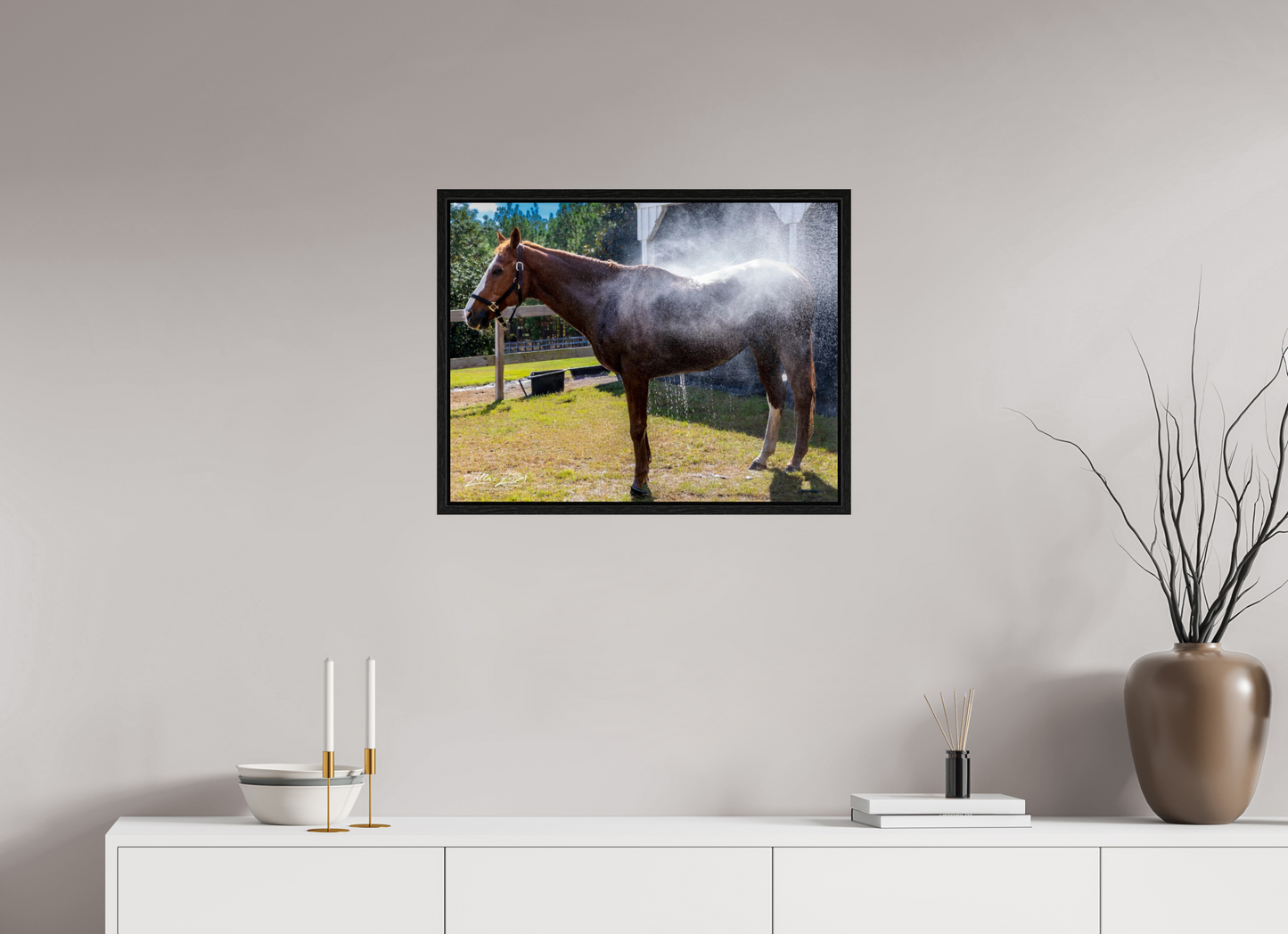 25.9 x 20″, Floater Frame Zillas zoom image 145
