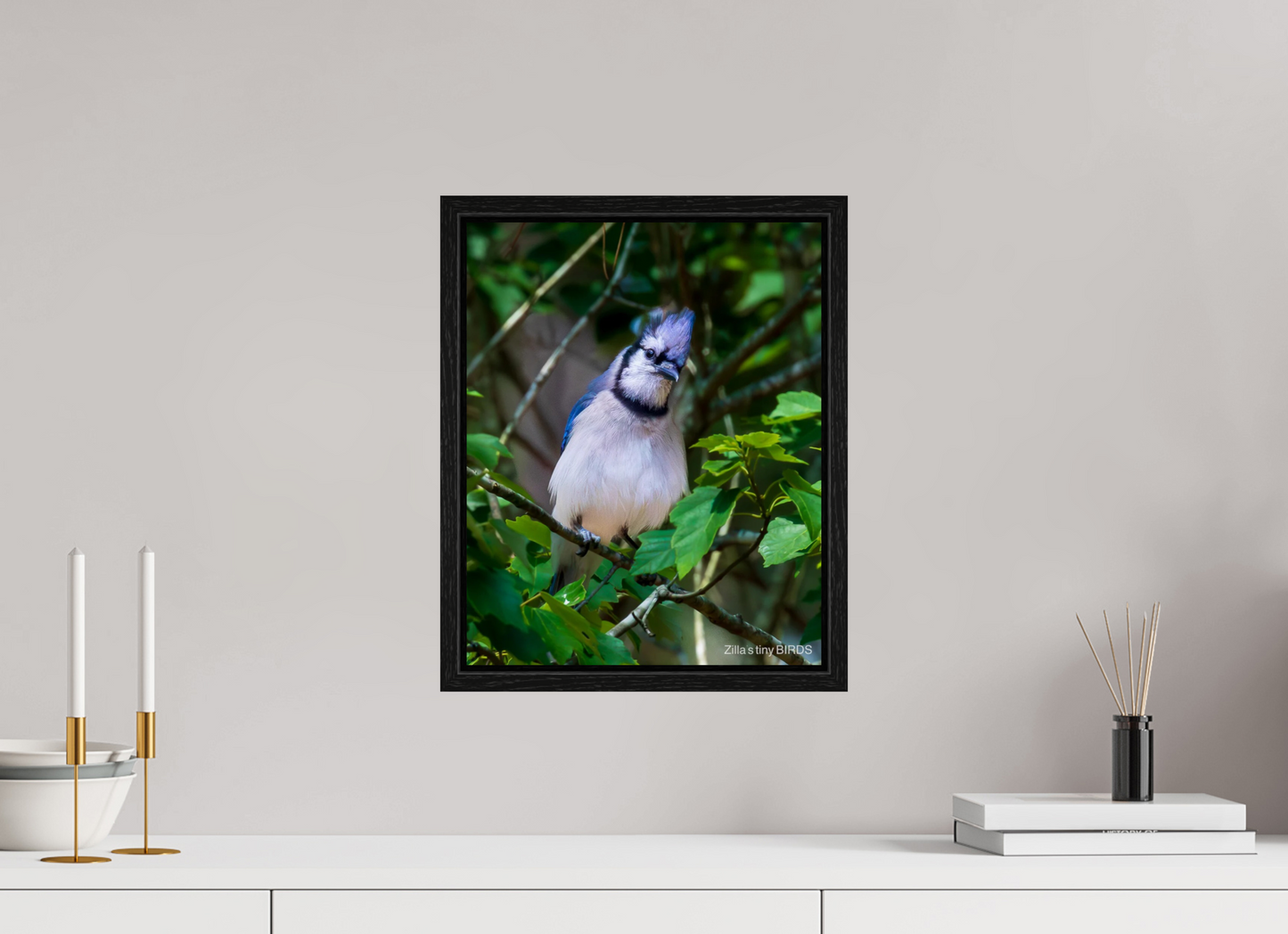12 x 15″, Floater Frame Zillas Zoom Image 497