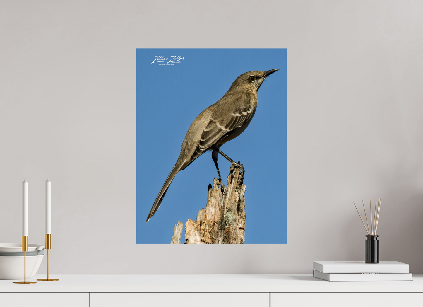 16 x 20.7″, Photo Print On Fuji Crystal DP II Zillas Zoom Image 404