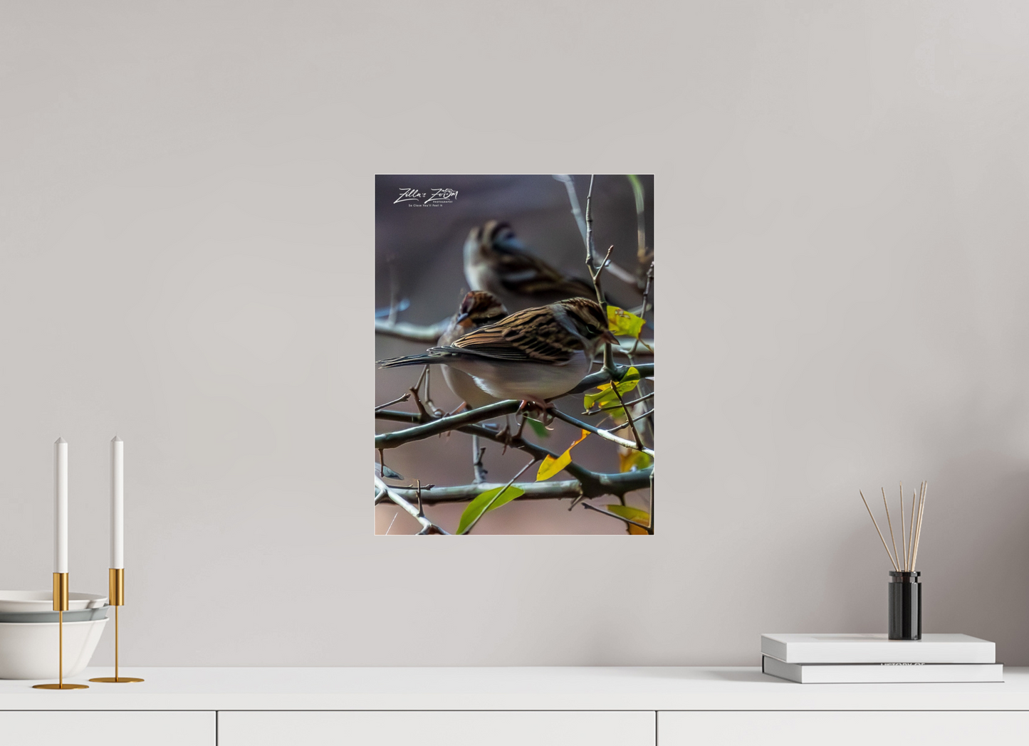 12 x 15.5″, Photo Print Under Acrylic Glass Zillas Zoom Image 427