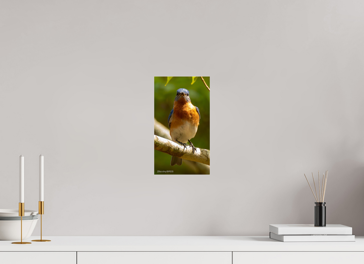 6.8 x 12″, Photo Print Under Acrylic Glass Zillas Zoom Image 481