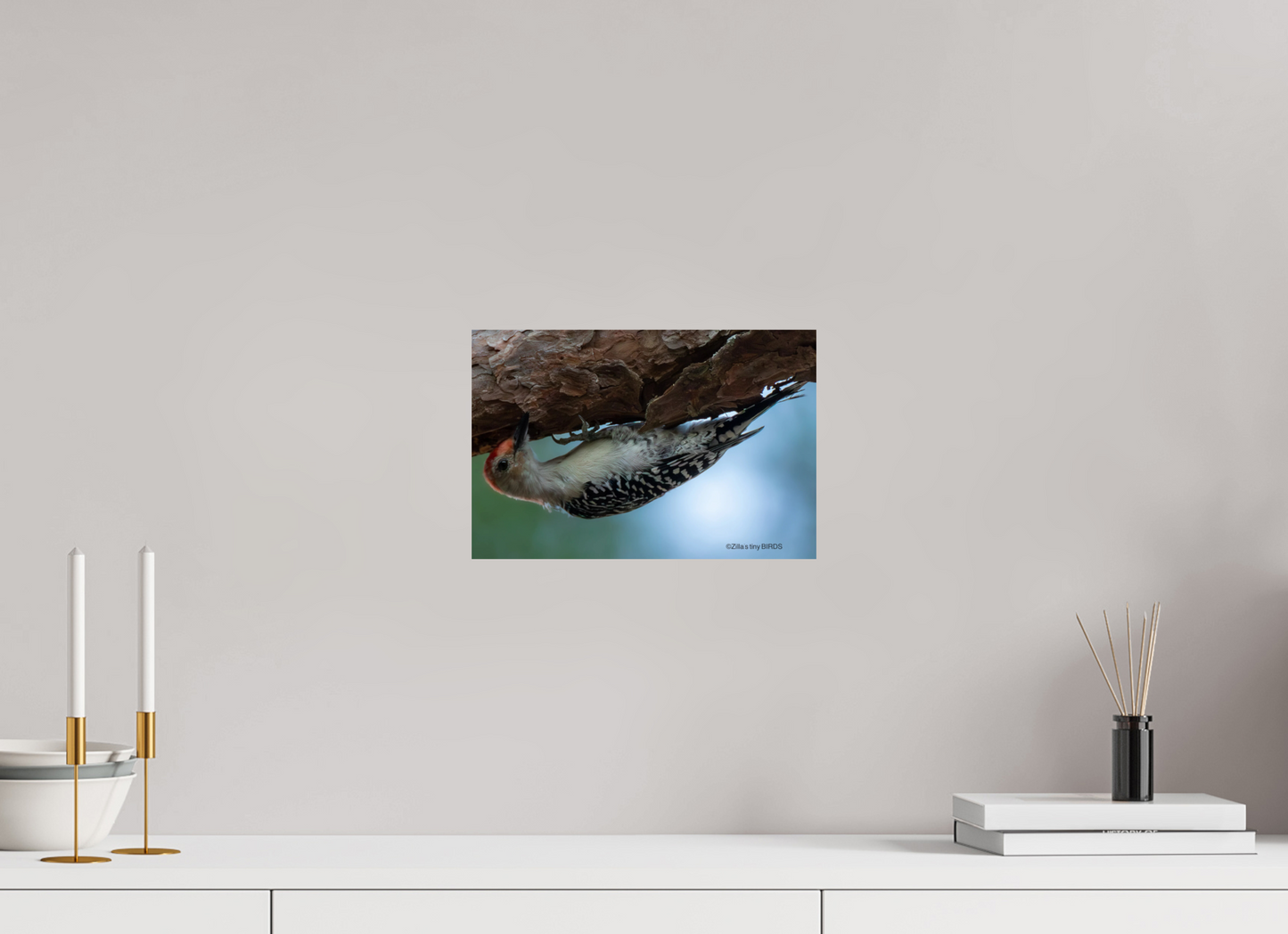 12 x 8″, Photo Print On Fuji Crystal DP II Zillas Zoom Image 319