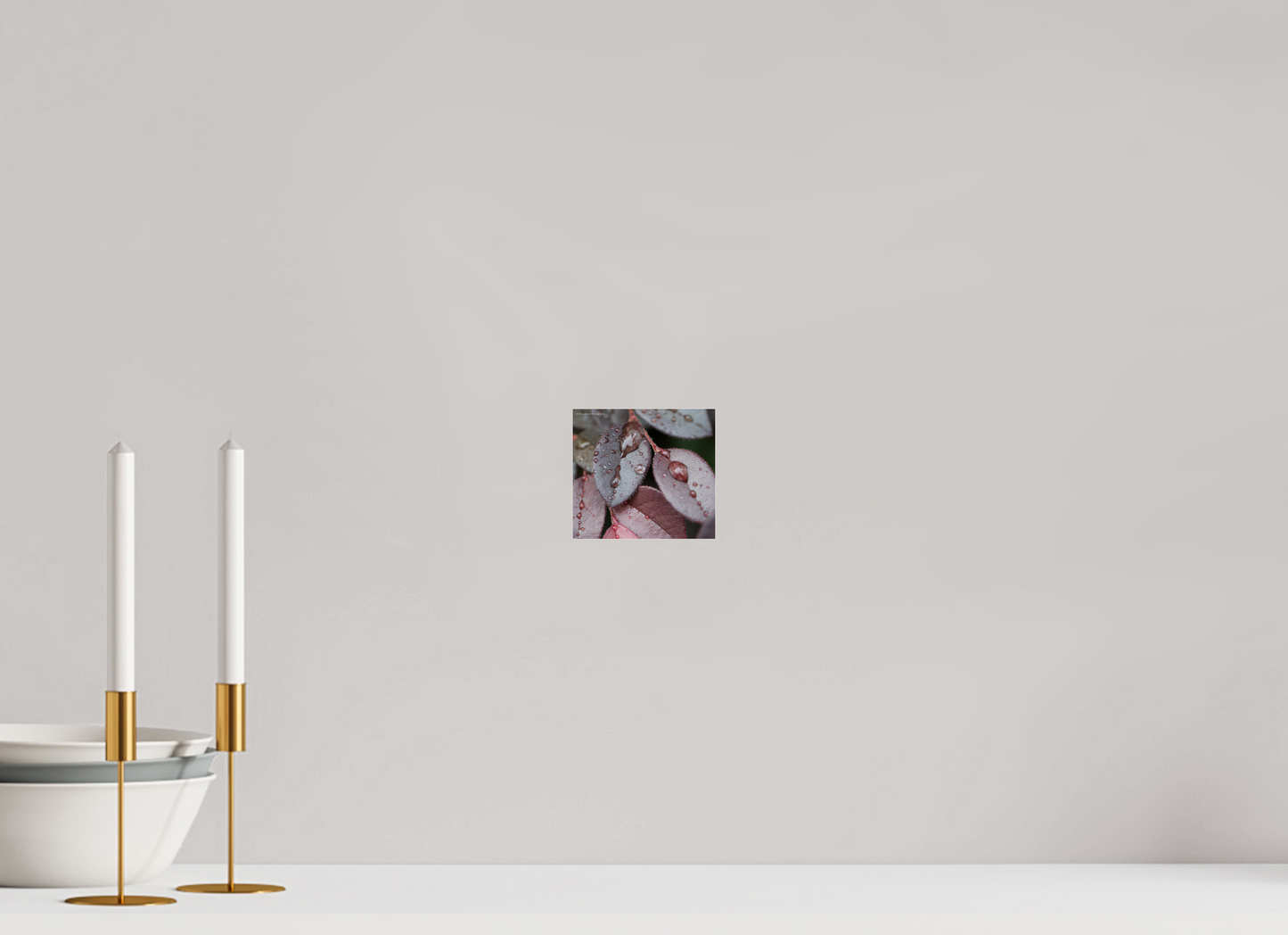 4.4 x 4″, Photo Print Under Acrylic Glass Zillas Zoom Image 99