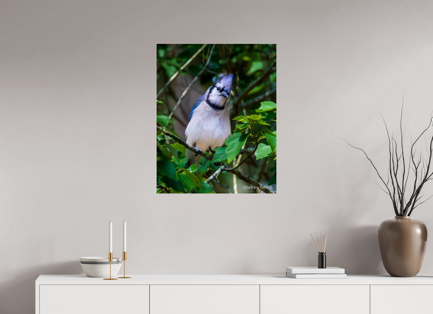 24 x 30″, Photo Print Under Acrylic Glass Zillas Zoom Image 497
