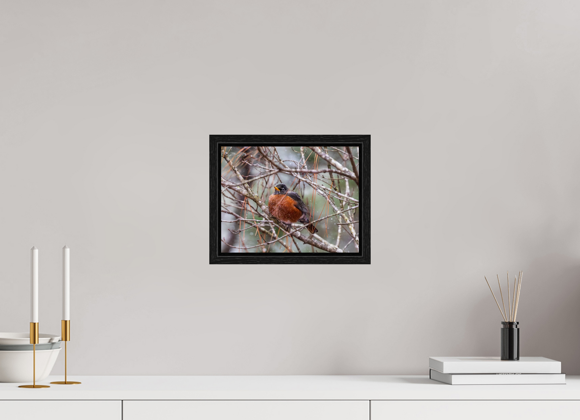 10.4 x 8″, Floater Frame Zillas Zoom Image 337