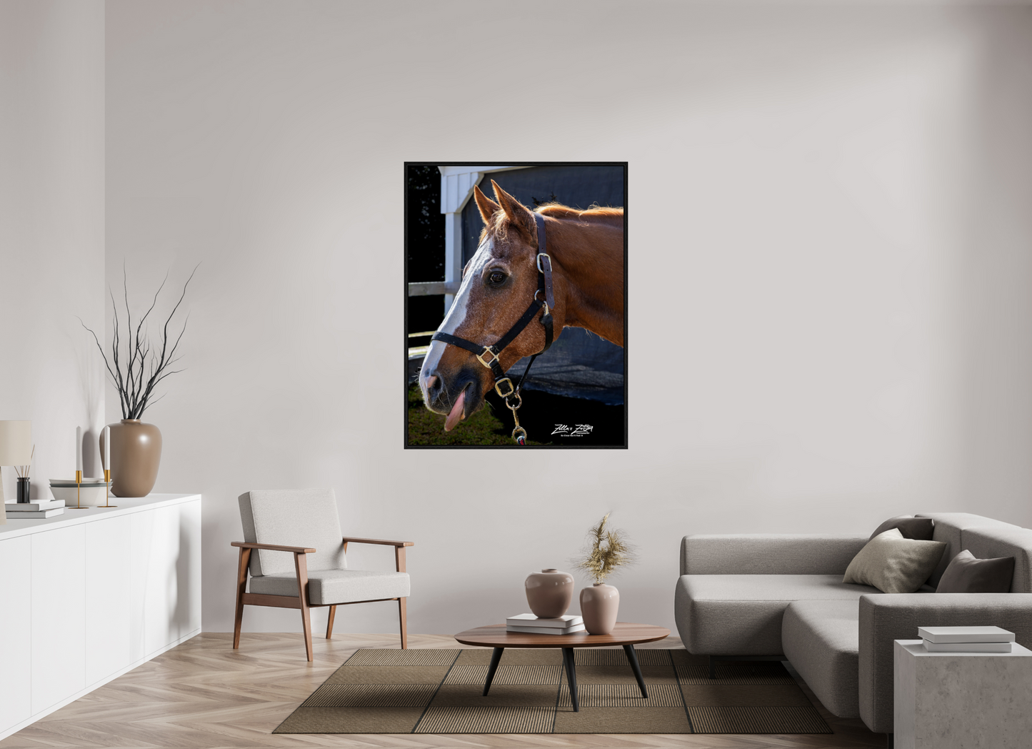 43 x 55.6″, Floater Frame Zillas zoom image 157