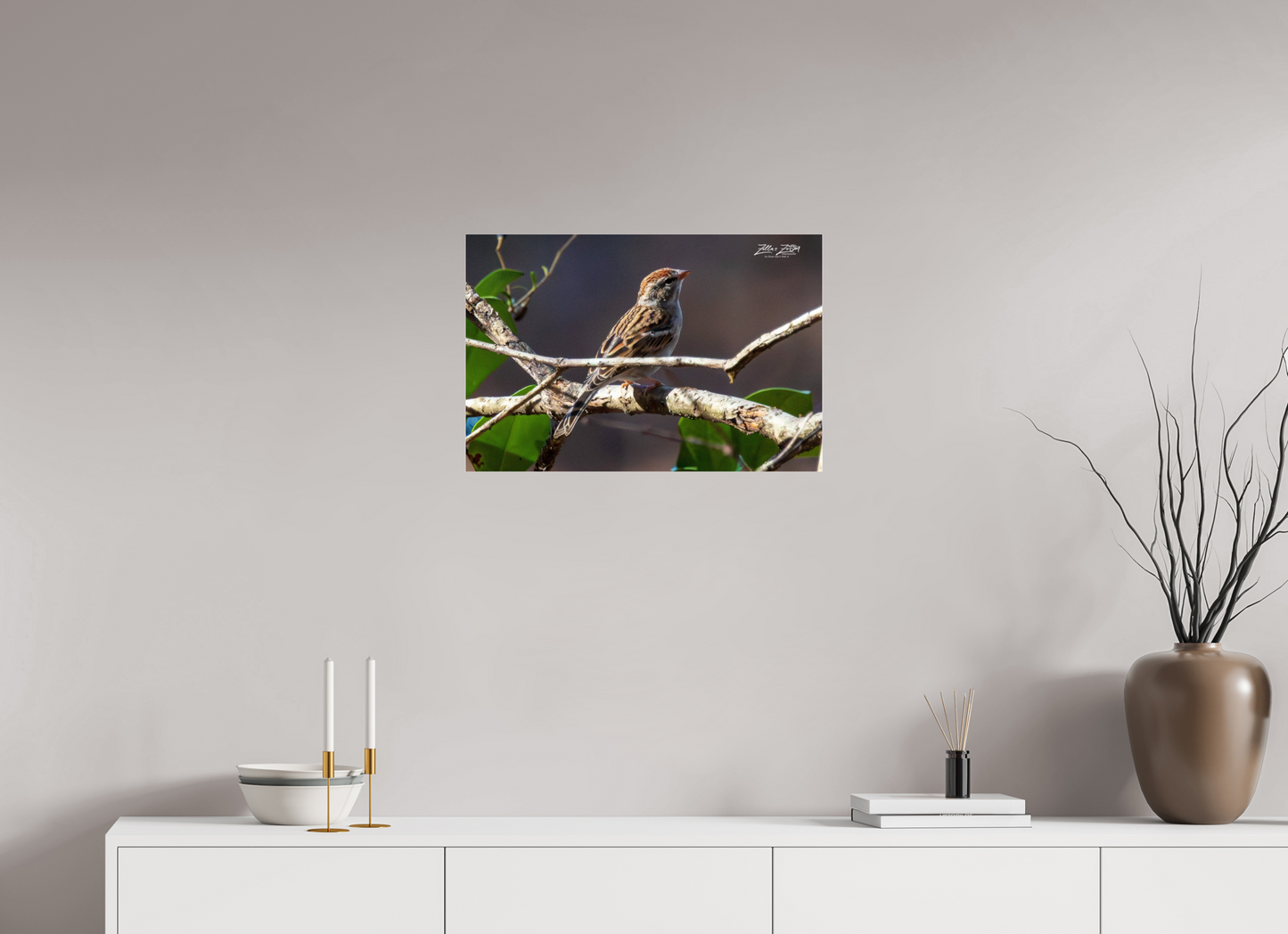 24 x 16″, Photo Print Under Acrylic Glass Zillas Zoom Image 289