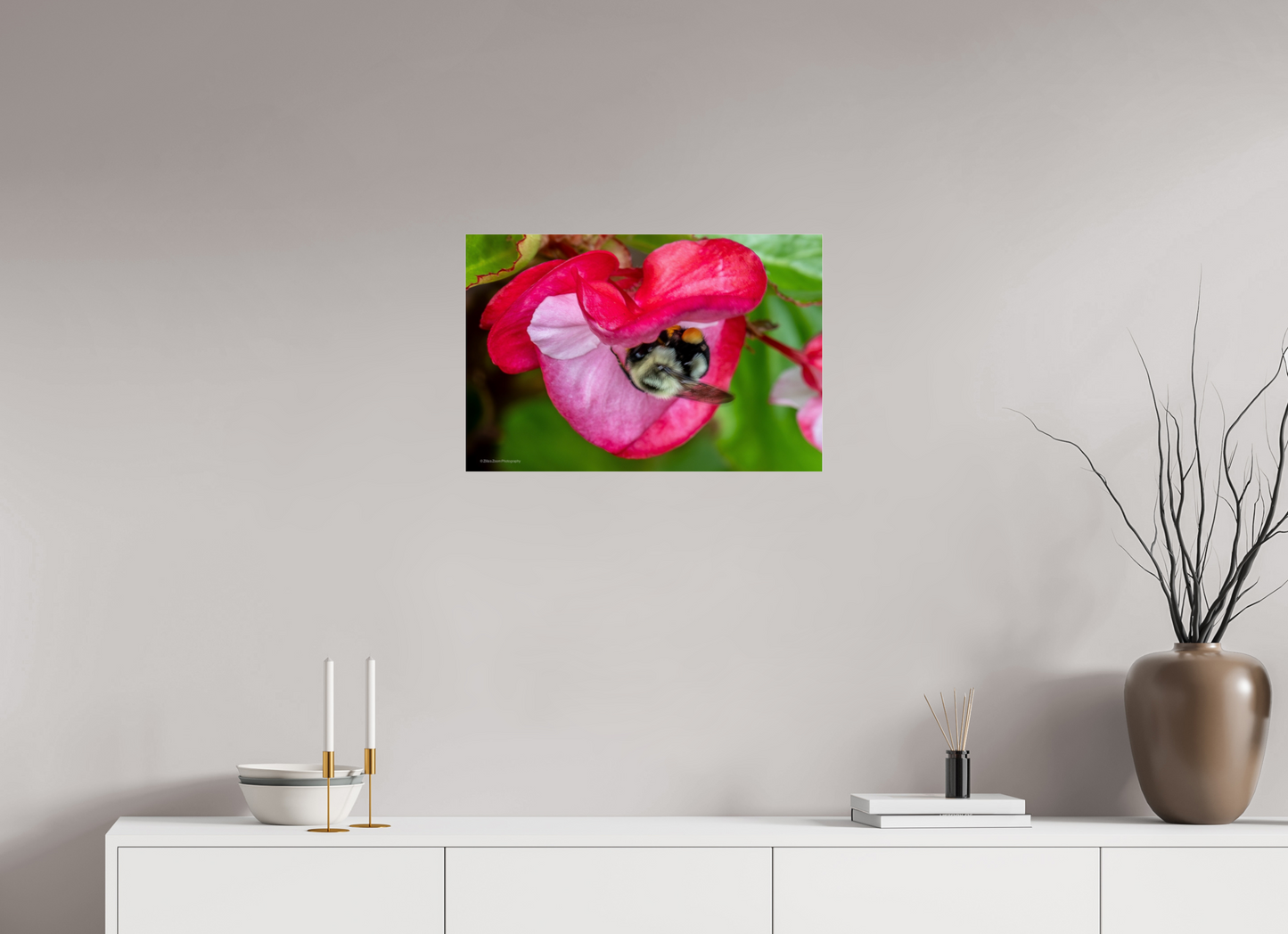 24 x 16″, Photo Print Under Acrylic Glass Zillas Zoom Image 101