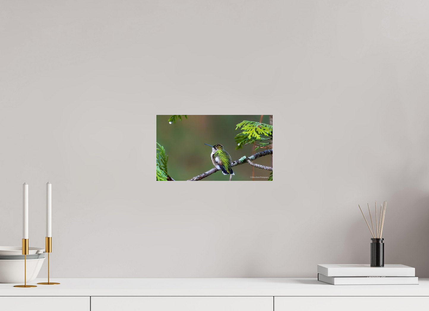 12 x 6.8″, Photo Print Under Acrylic Glass Zillas Zoom Image 309