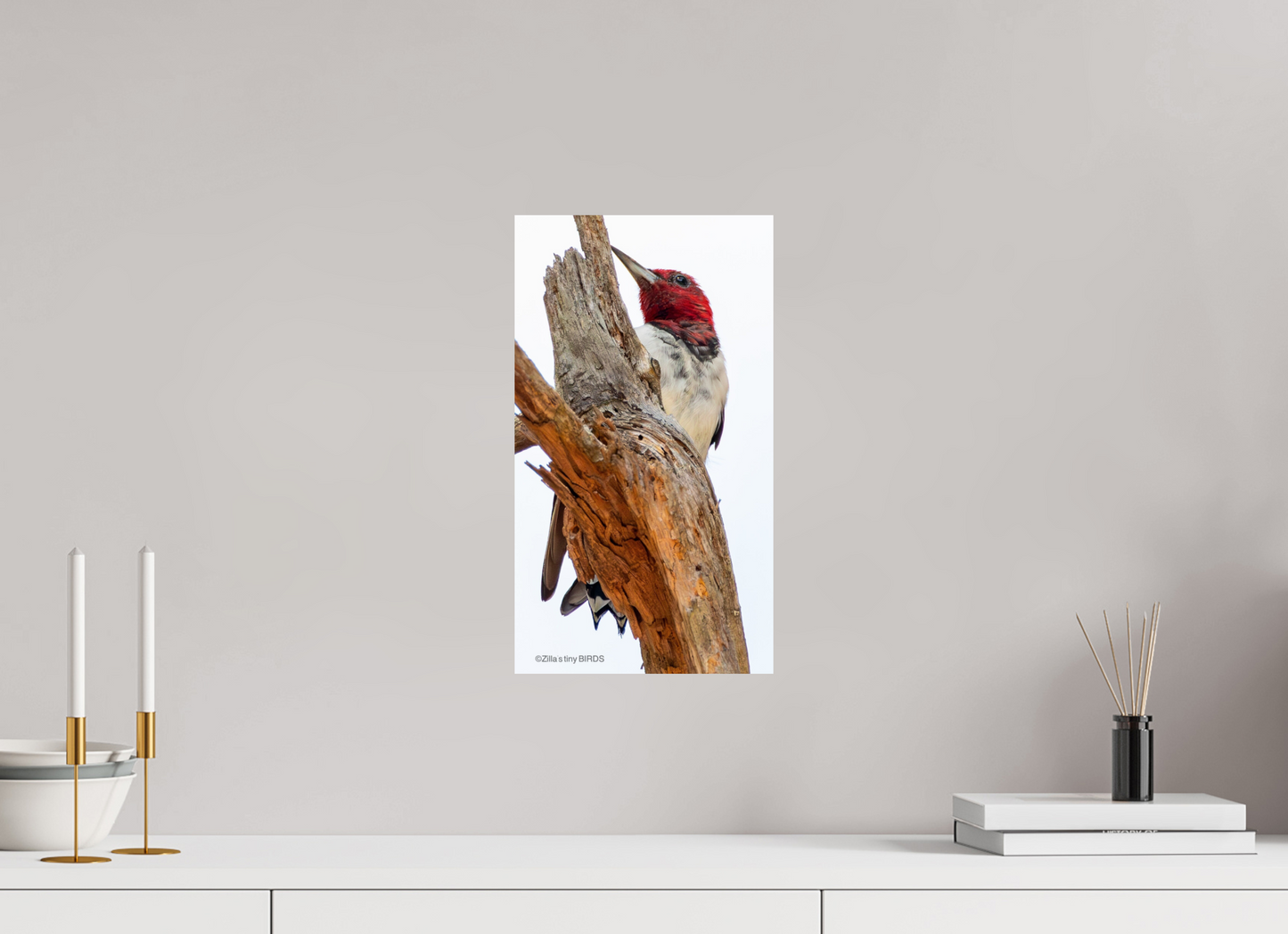 9 x 16″, Photo Print On Fuji Crystal DP II Zillas Zoom Image 439