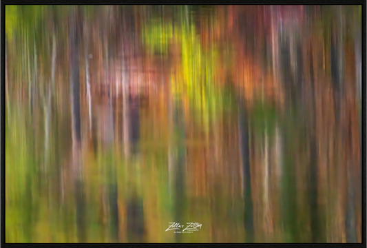 Main image Zillas Zoom Image 6